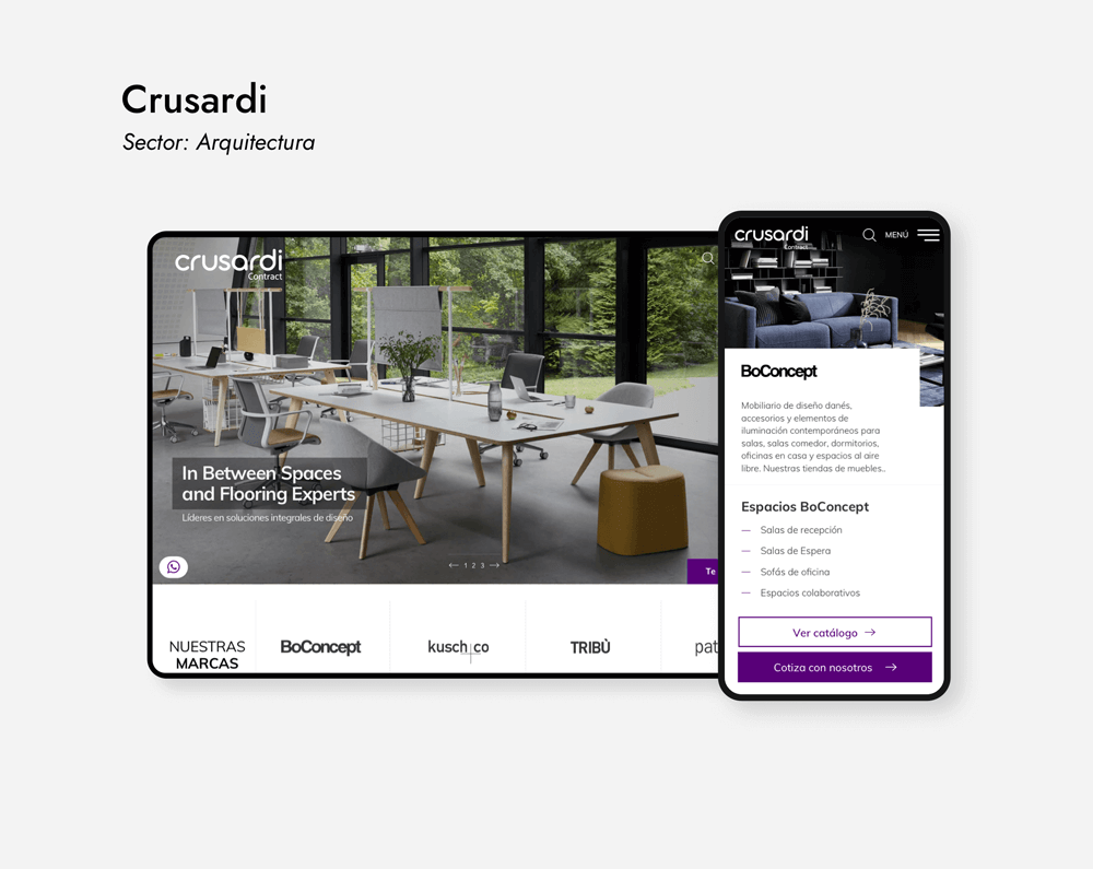 Website and UX/UI Design Crusardi