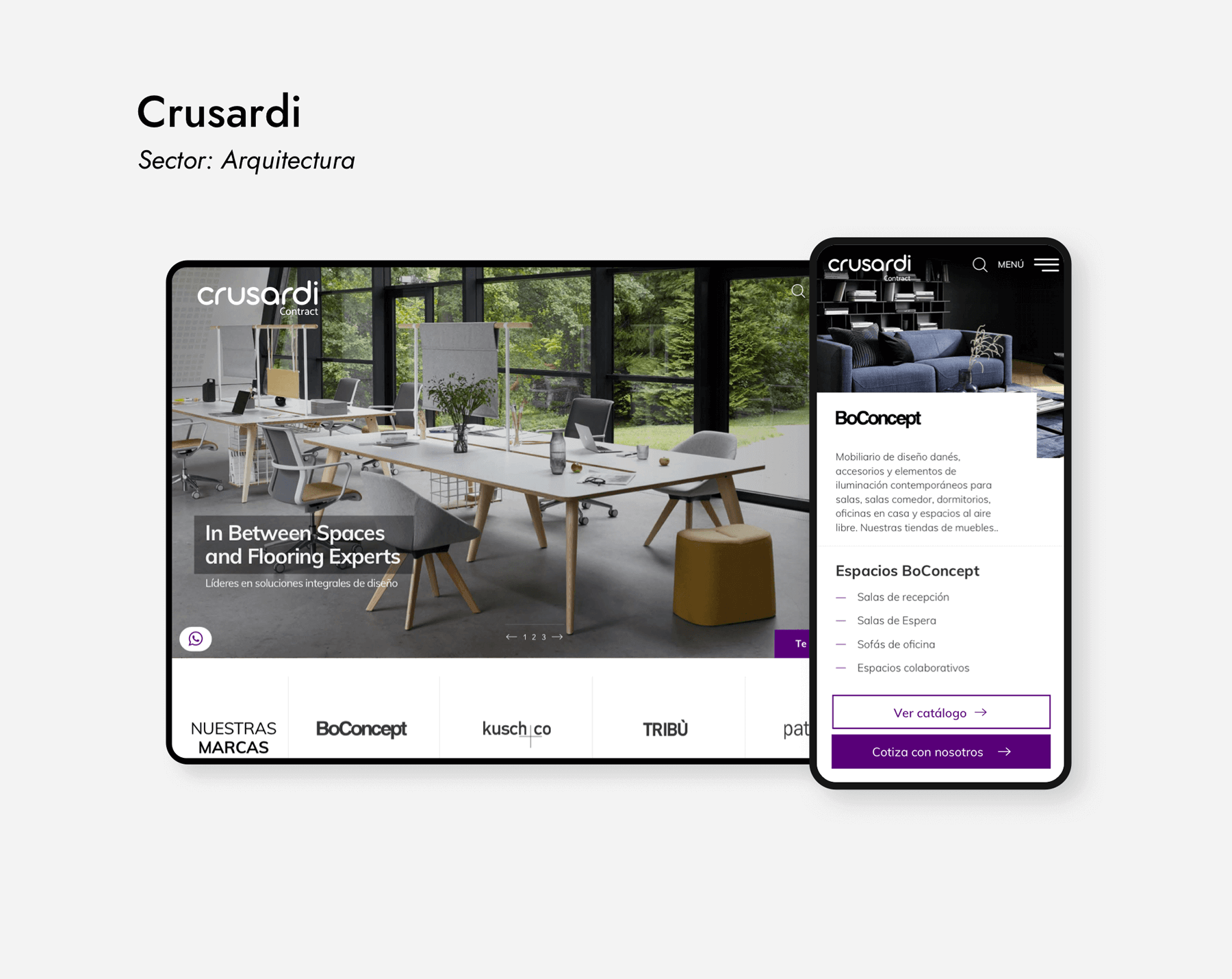 Sitio Web y Diseño UX/UI Crusardi